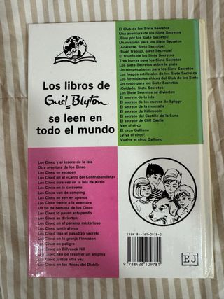 Los Cinco Se Divierten/the Five Fall into Adven...