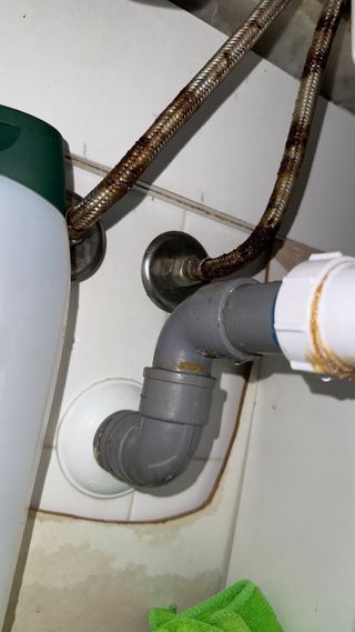 Manitas en Terrassa y alrededores