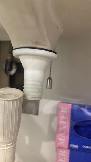 Manitas en Terrassa y alrededores