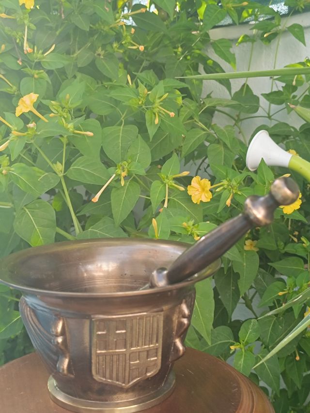 Almirez antiguo de bronce con escudo