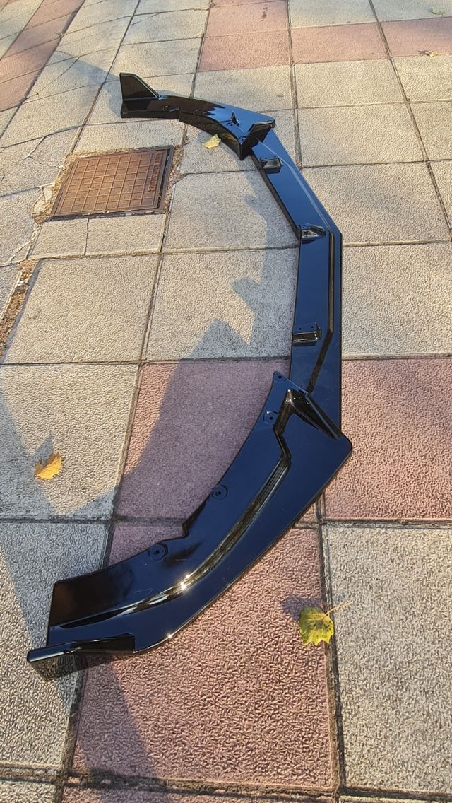 Espada, labio, bajo defensa delantera