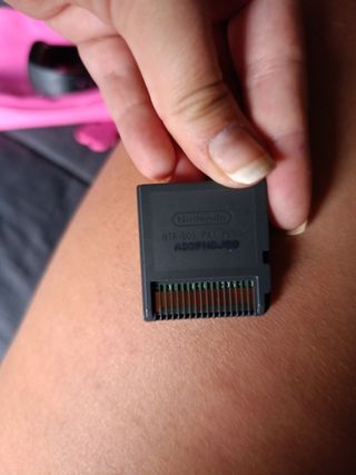 Gioco per Nintendo DS Nintendogs