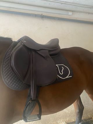 Montura Salto TIBO 18 Marrón