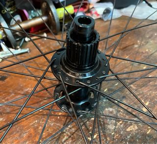Rueda Trasera MTB 29 12v