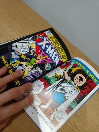 The Uncanny X-Men: Dark Phoenix (Uncanny X-Men S.)