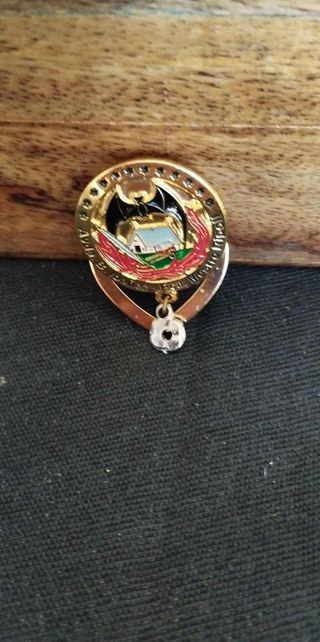 Insignia pañuelo coleccionista exclusiva para cole