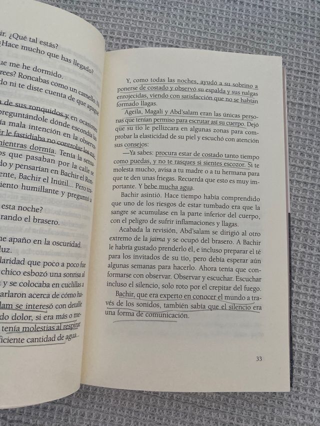 Libro El cazador de estrellas de Ricardo Gómez