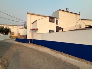 Pintor Fachadas económico 
