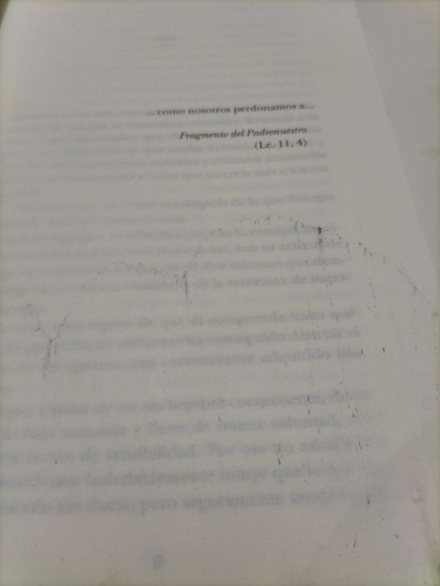 El último laberinto (Spanish Edition)