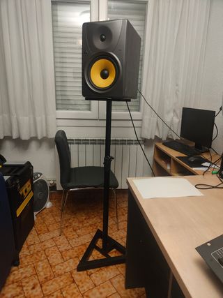 2 Monitores Dj Behringer B1031A 