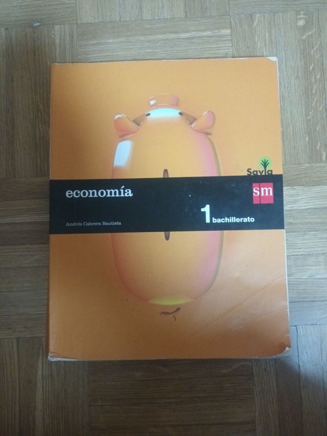 Economía. 1 Bachillerato. Savia (Spanish Edition)