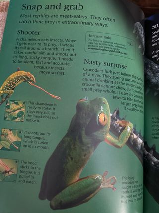 First Encyclopedia of Animals (Usborne First En...