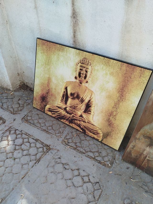 Cuadros de Buda 
