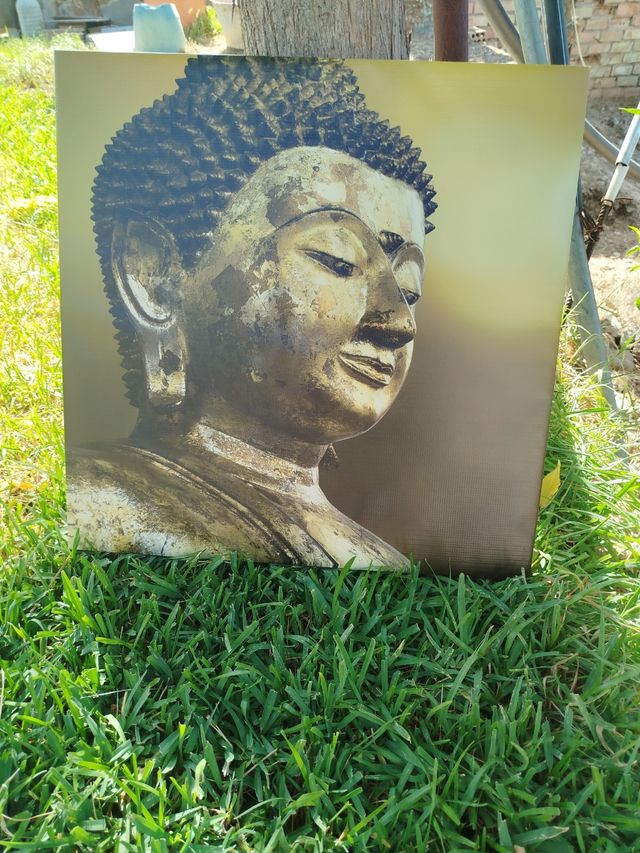 Cuadros de Buda 