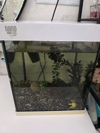 Acuario Nano Aqua Led Crystal