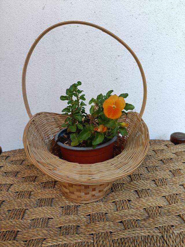 Cesta de mimbre con asa