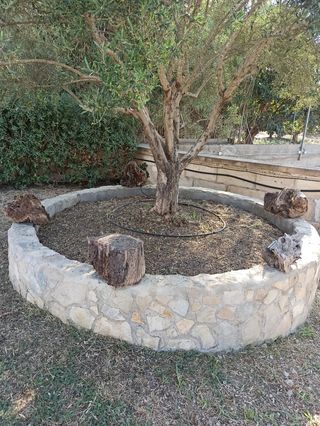 Alquiler Vacacional Mallorca con Piscina