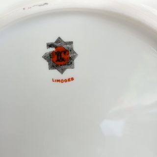 6  Platos llanos  de porcelana con flores rosas