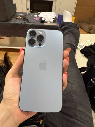 iPhone 13 Pro Max 256GB