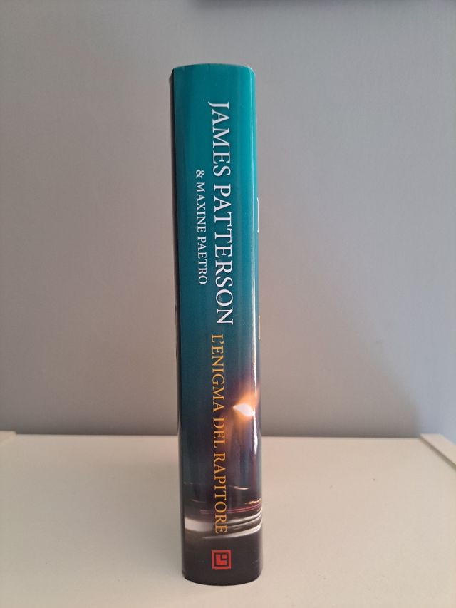 L'enigma del rapitore (Italian Edition)