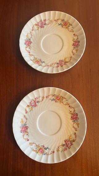 2 Platos de porcelana Bidasoa