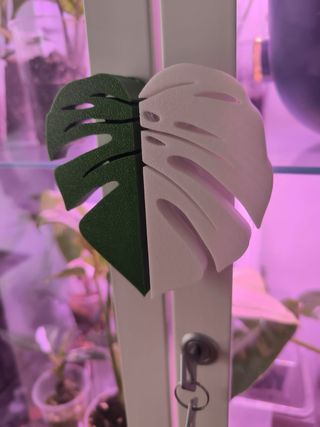 Tiradores vitrina Milsbo Monstera