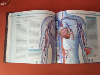 Libro RUNNING NUEVO libros LECTURA deporte