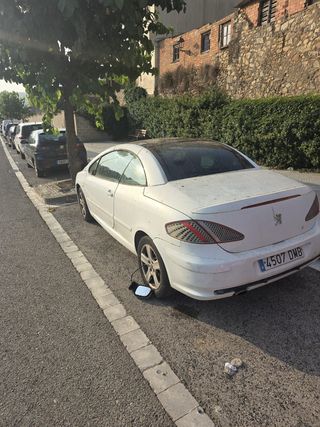 Peugeot 307 2004