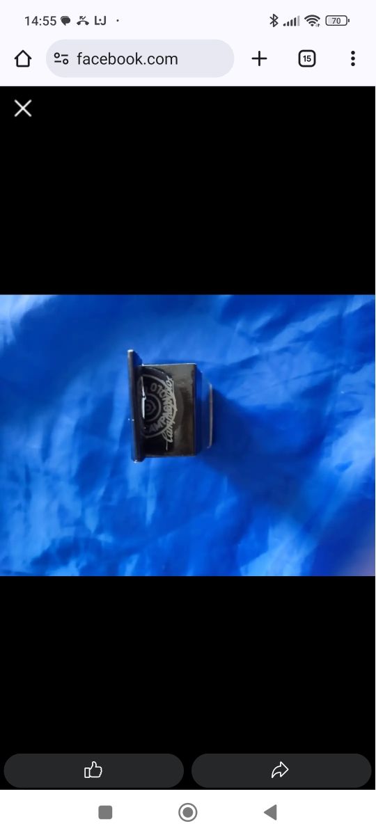 Pasticche Campagnolo