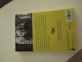 El Príncipe de la Niebla (Spanish Edition)