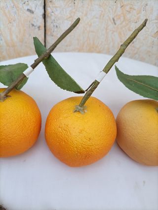 Frutta Verdura Artificiale Realistica Set 