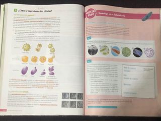 Biología y Geología. 1 Secundaria. Revuela. Com...
