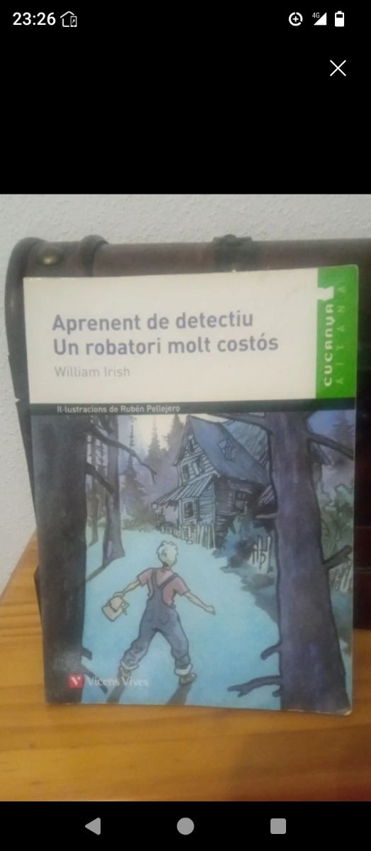 Aprenent de detectiu un robatori molt costos.