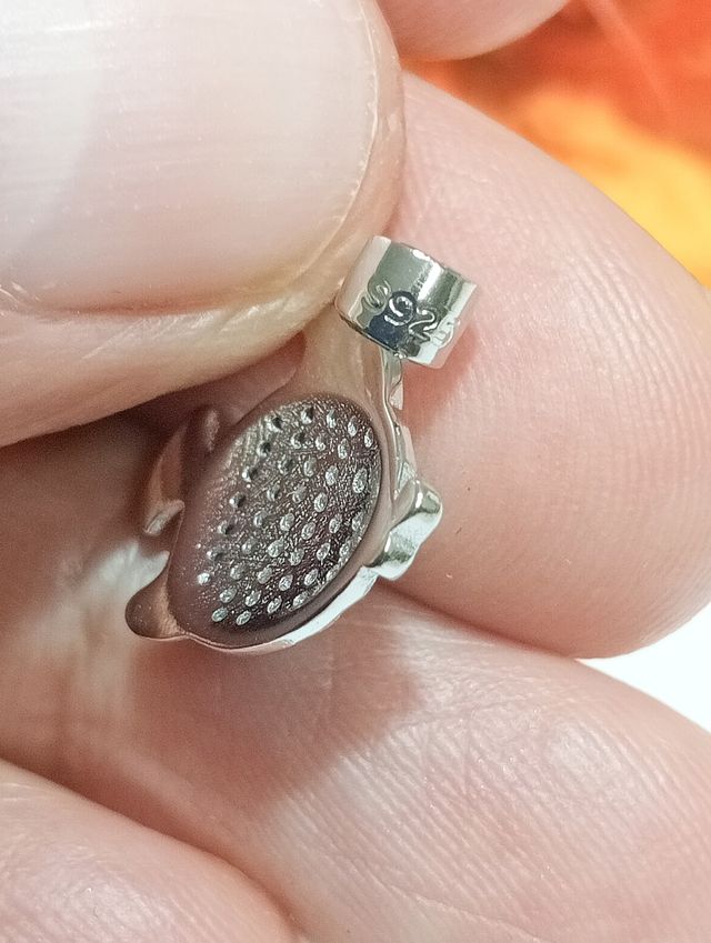 Dije Pez Globo Plata Ley Circonias Colores Plata.