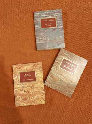 Lote libros CLASICOS. Club Internacional del Libro
