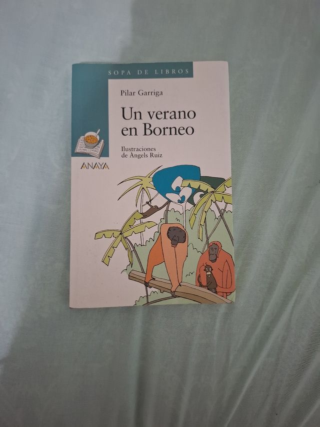 Un verano en Borneo (Sopa De Libro / Book Soup)...