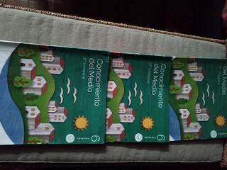 Lote Libros 6º Primaria