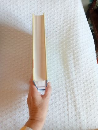 The Diccionario de Terminos Juridicos Ingles / ...