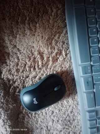Teclado y Ratón Inalámbrico Logitech MK295