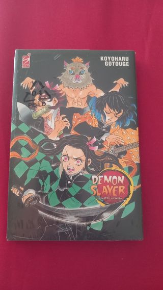 Demon slayer. Kimetsu no yaiba (Vol. 13) (Big)