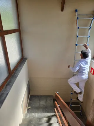 Pulidor de madera También hacemos plástica