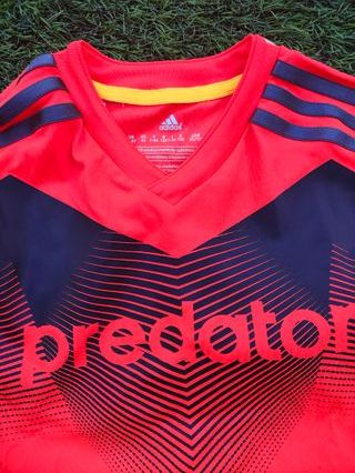 Conjunto Adidas Predator Niño
