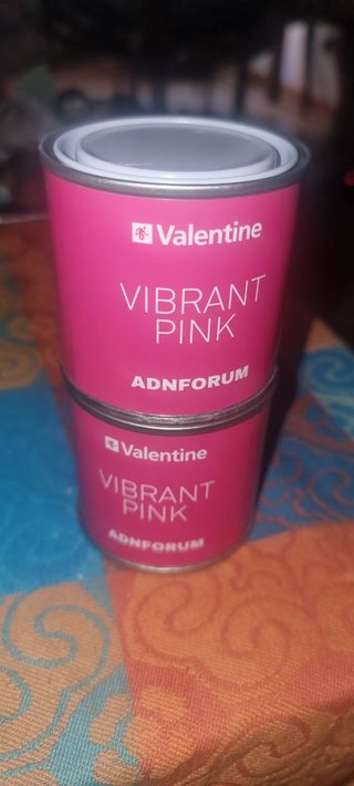 2 botes pintura Valentine Vibrant Pink