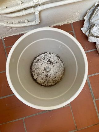 Macetas de diferentes tamaños