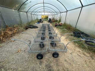 11 carritos y 2 carros para jardín