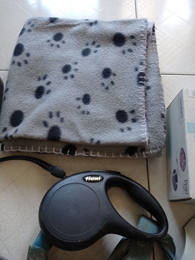 8 Accesorios para Mascotas: Correa, Arnés y Cepi