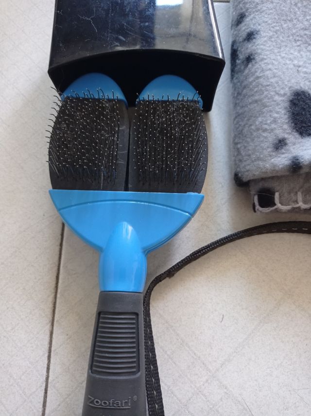 8 Accesorios para Mascotas: Correa, Arnés y Cepi