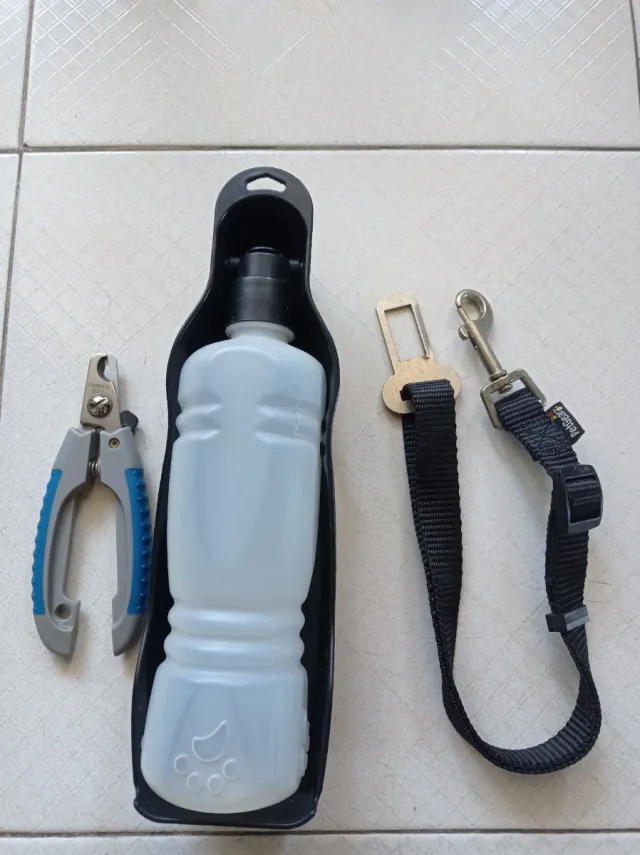 8 Accesorios para Mascotas: Correa, Arnés y Cepi