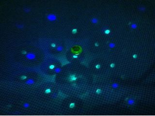 Luz LED para Piscina Steinbach