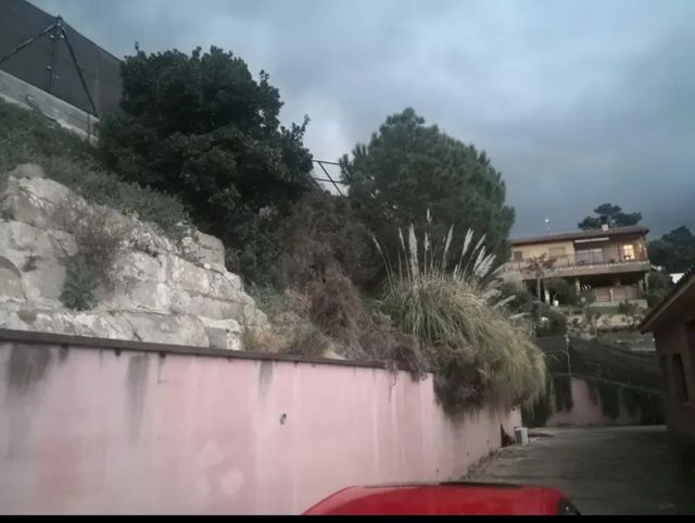 Limpieza de parcelas desbroce